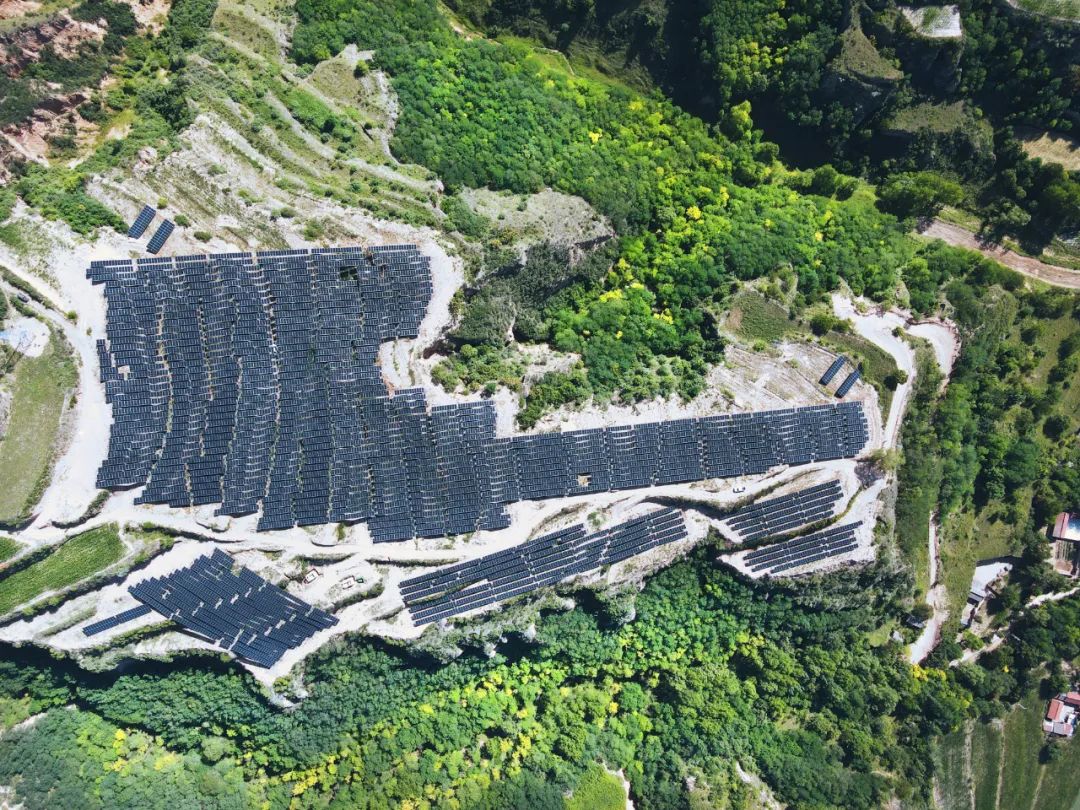 优惠活动办理大厅绿能-双碳目的和能源革命的践行者